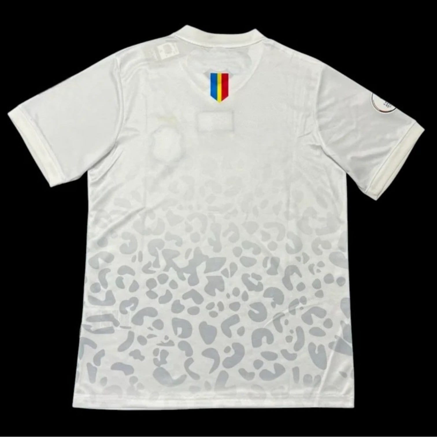 DR Congo Maillot Extérieur 26/27